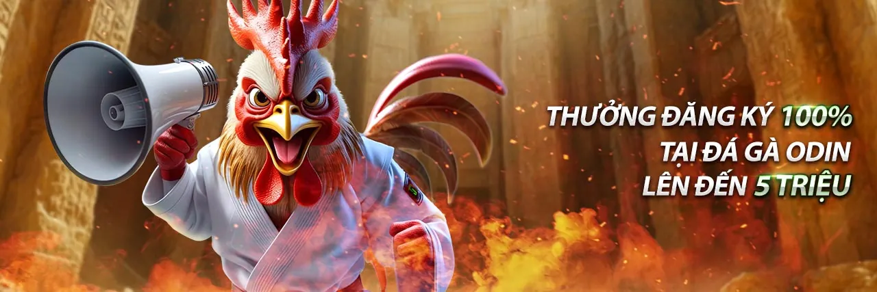 Hình ảnh giới thiệu Bongvip2 - Nền tảng cá cược trực tuyến hàng đầu