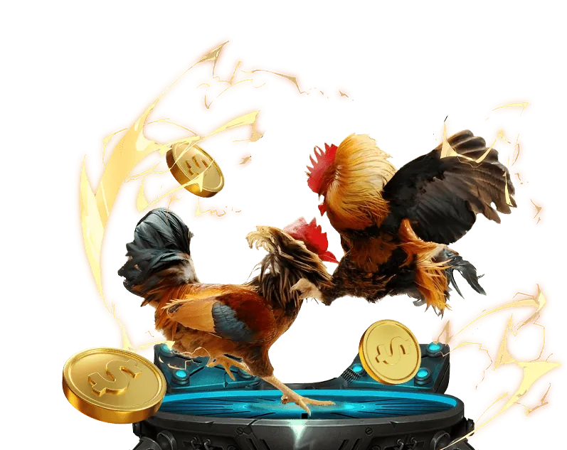 Hoàn trả hàng ngày BONGVIP2